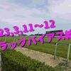 2023,3,11～12 トラックバイアス結果 (中山競馬場、阪神競馬場、中京競馬場)