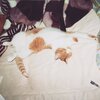 猫写真♯570