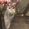 想像力のその先へ〜棄てられた桜から学ぶ事〜