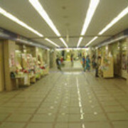 啓文堂書店吉祥寺店 本屋のほんき