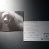 【写真展】R3.11/5～11/16＿酒航太「ZOO ANIMALS」＠gallery 176