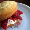  Strawberry Shortcake Cookie