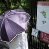 京都を感じる名古屋の名所 〜名古屋・揚輝荘（覚王山）