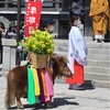 摩耶詣　ハイクde俳句