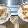 町田【猫カフェ】Cat Café MOFF（キャット カフェ モフ）で充電完了