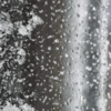 【α6000×カミソリマクロ #5】窓の氷も作品に！肉眼を超える描写力。