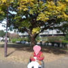 散歩日和