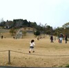 藤山健康文化公園　( 梅&河津桜 )