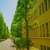 高校2年生始まってます。