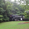 雨の留萌　―　見晴公園　―