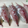 アジ寿司しました