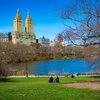 リトル・チャロ (24) Filming in New York クランクイン、Charo and Shota 夢追うふたり