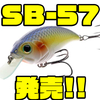 【Bill Lewis】マークダニエルズJr監修のシャロークランク「SB-57」発売！