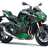 2021 Kawasaki Z H2 SE/Z H2