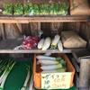 無人野菜販売