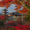 清水寺・夕景