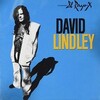 David Lindley & El Rayo-X のコンサートに行ってきた