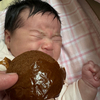 糖分を摂取したら元気になったので晩ご飯はエビグラタン