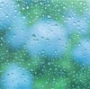 梅雨入り