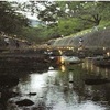 苦楽園口｜2024年8月31日（土）に「夙川千本燈火」が開催されます