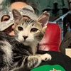 猫がいる幸せ。