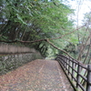 台風21号後のラン