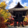 Reishoji - The most breathtaking spot to see fall foliage in Omachi Nagano, Japan