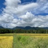 2023/09/07 木曜日　秋の空