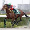 競馬初心者必見☆馬券予想🔥〜みやこS〜クリンチャーの2連覇に期待！〜