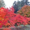 大町　霊松寺の紅葉の絶景