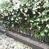 健診受ける派、受けない派