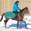 シルクなお馬さん（２歳・外国産馬）