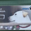 日曜の午後 Dog Shelter でボランティア バスに揺られて１時間