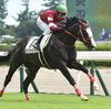 2024 - 京王杯 2歳ステークス - 予想・見解 / S-Johnny's - Garden