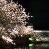 福岡城　　夜桜ライトアップ