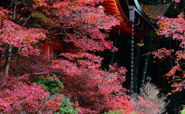 Go to entry