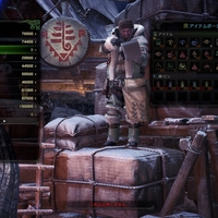 Mhw I 特殊闘技場クエストを常に出現させるmodの紹介 しがなさが溢れていく