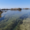 黒崎の海はきょうもキレイです