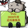 YGG2020年度(19年産世代+α)追加募集募集馬一言評価