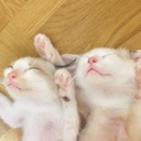 今日も明日も。