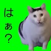 ブログ開始から５年になりました！