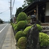 信州庵:ご当地グルメを楽しむ。豊橋カレーうどん