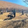 この1週間。