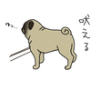 ぼやくパグ