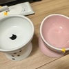 元気が一番！