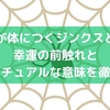 蜘蛛が体につくジンクスとは？幸運の前触れとスピリチュアルな意味を徹底解説
