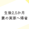 育児日記　生後2.5か月　妻の実家へ帰省