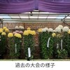 東京都観光菊花大会が4年ぶりに開催