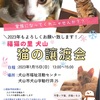 15日は譲渡会！参加する猫のご紹介①