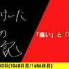 【日記】「痛い」と「いたい」